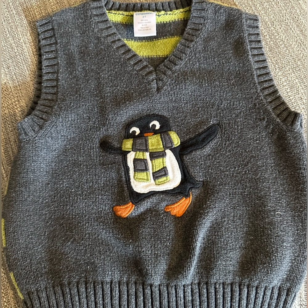 2t gymboree sweater vest